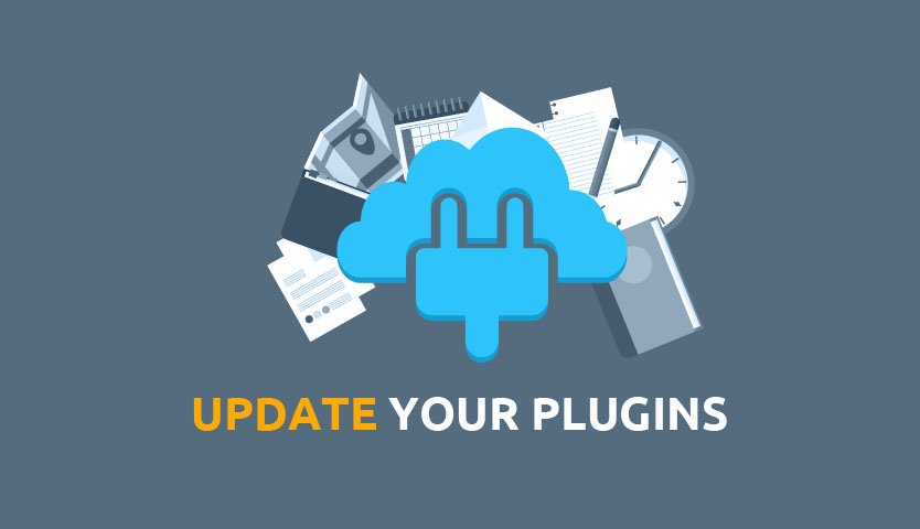 wordpress and plugins update